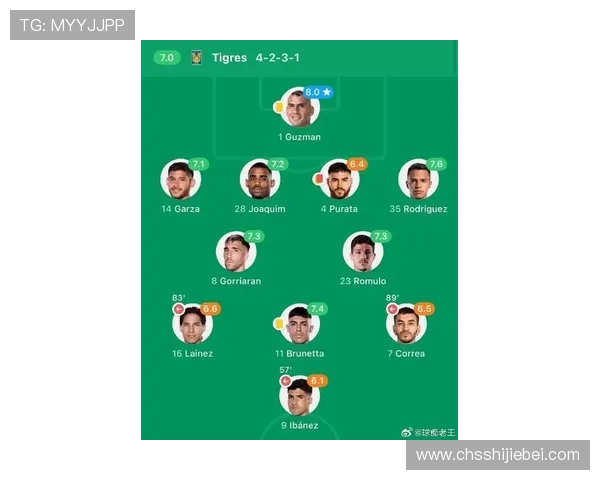 墨西哥世界杯阵容最新公布：主力阵容与替补球员的详细介绍