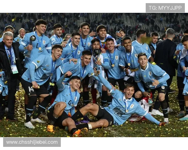 2023年世界杯播报详细报道涵盖赛前分析与赛中精彩瞬间全景呈现